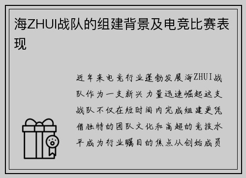 海ZHUI战队的组建背景及电竞比赛表现