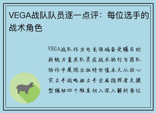VEGA战队队员逐一点评：每位选手的战术角色